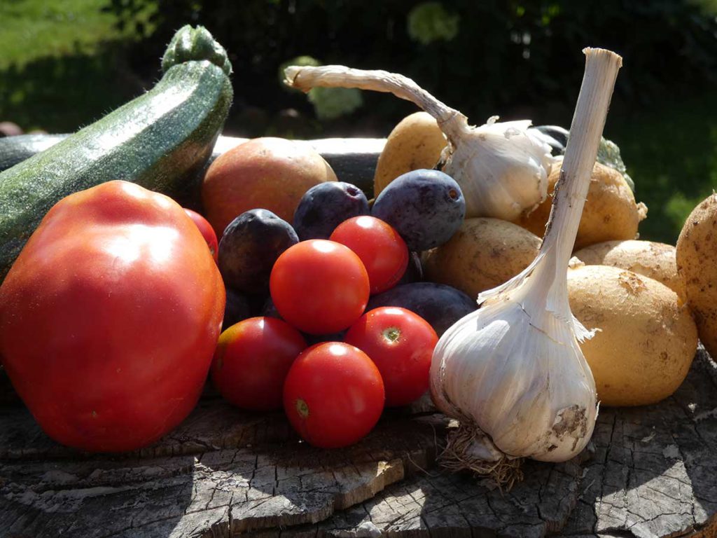 Gemüse aus dem Kleingarten - Zucchini, Pflaumen, Kartoffeln und mehr